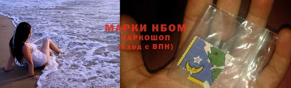 шишки Аркадак