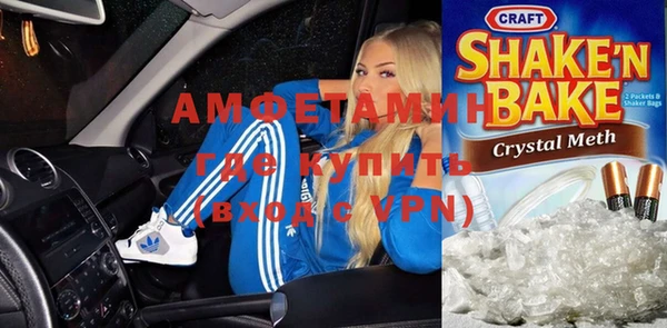 шишки Аркадак