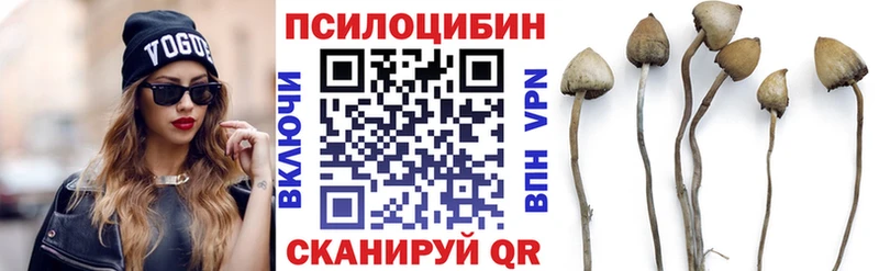 Псилоцибиновые грибы мицелий  Великие Луки 