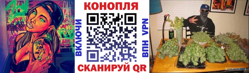 как найти закладки  Великие Луки  МАРИХУАНА тримм 